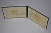 Стоимость диплома техникума УзбекАССР 1975-1991 г. в Пудоже (Республика Карелия)