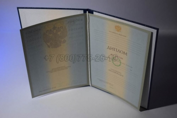 Диплом Университета 2008г в Петрозаводске