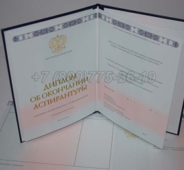 Диплом Аспирантуры 2024г в Петрозаводске