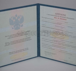 Диплом MBA 2014г в Петрозаводске