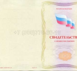 Свидетельство о Профессии Рабочего "Авиационный механик(техник)по приборам и электрооборудованию" в Петрозаводске