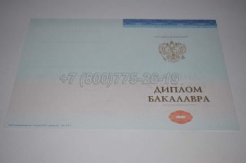 Диплом Бакалавра СпецБланк 2024г в Петрозаводске