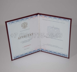 Аттестат За 11 Класс 2023г Золото ГОЗНАК в Петрозаводске