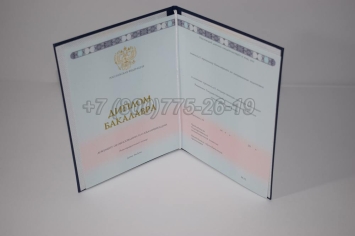Диплом Бакалавра 2025г ГОЗНАК в Петрозаводске