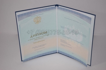 Диплом Техникума 2018г СпецБланк в Петрозаводске